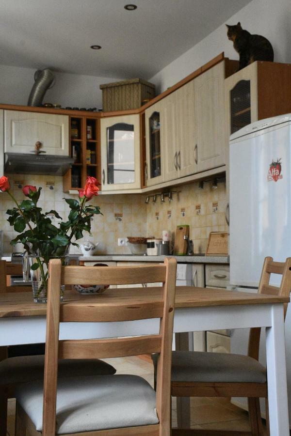 Apartament Rynek 11B Οπόλε Εξωτερικό φωτογραφία